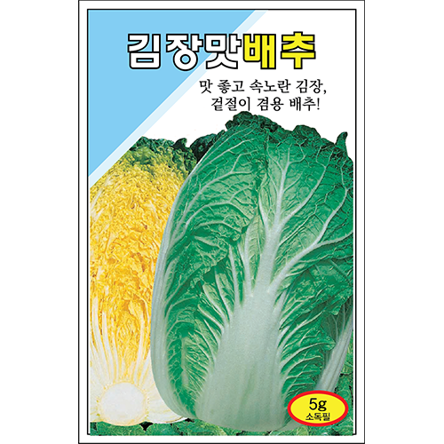 김장맛배추